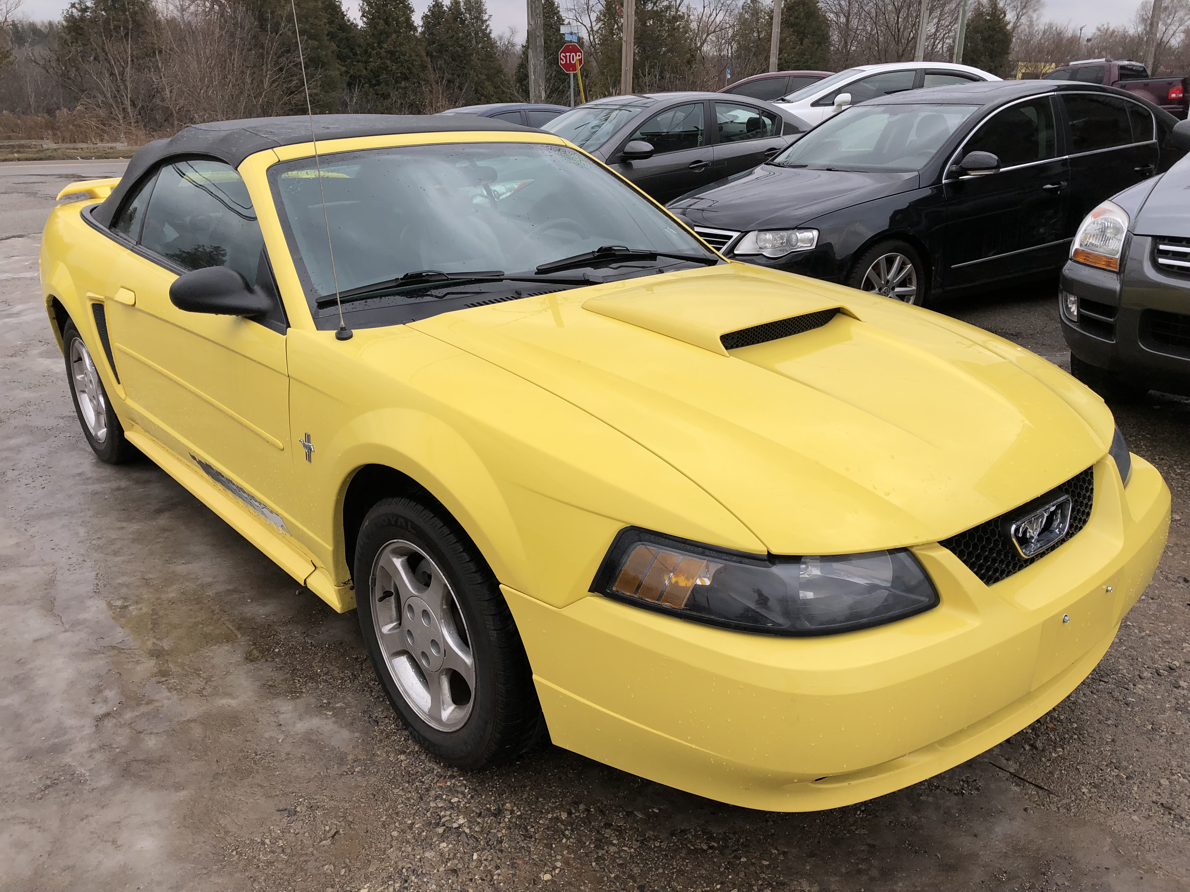 2003 FORD MUSTANG CONVERTIBLE Premium Car Club
