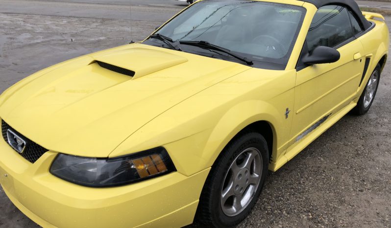 2003 FORD MUSTANG CONVERTIBLE full