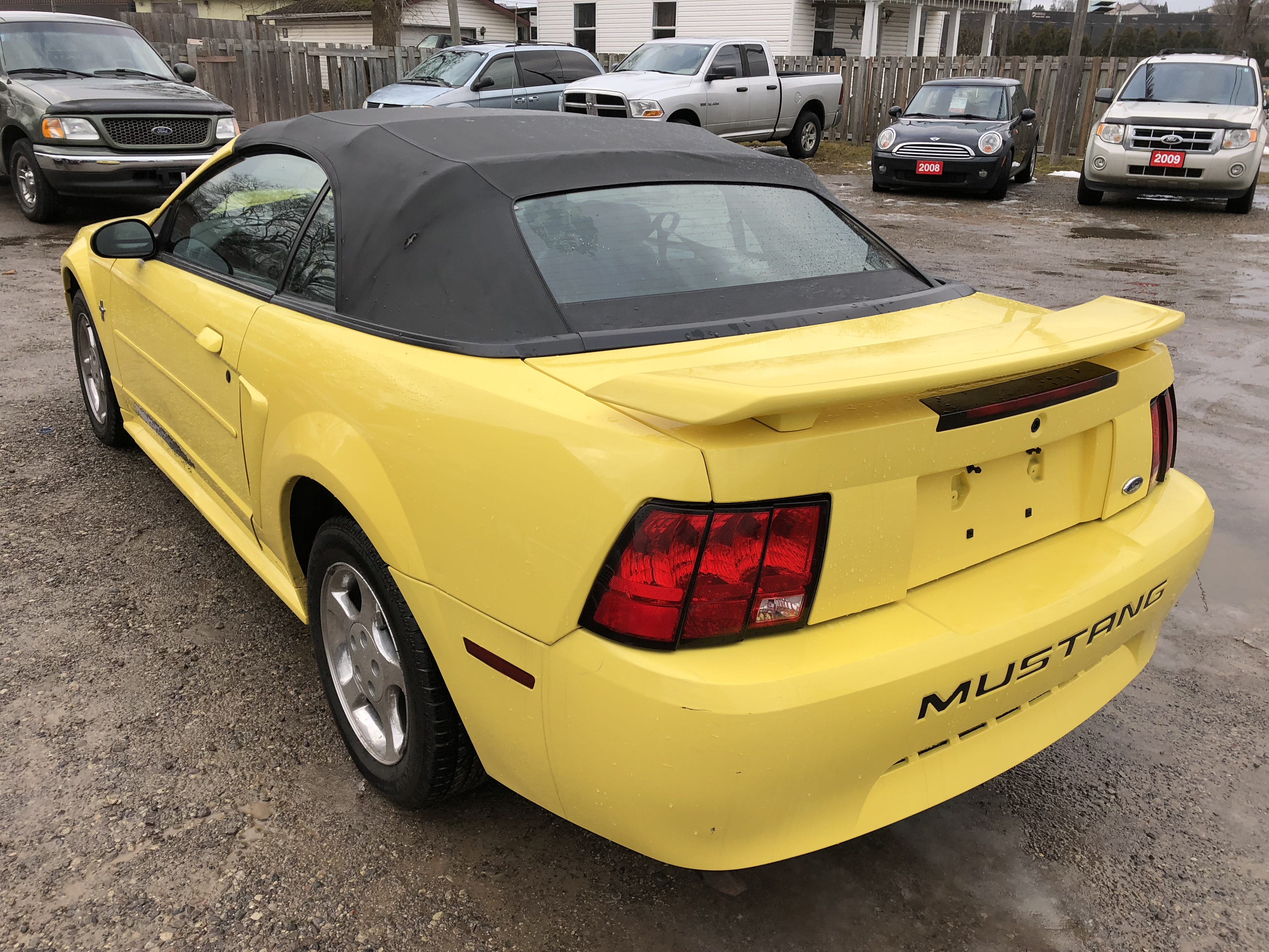 Ford mustang 2003