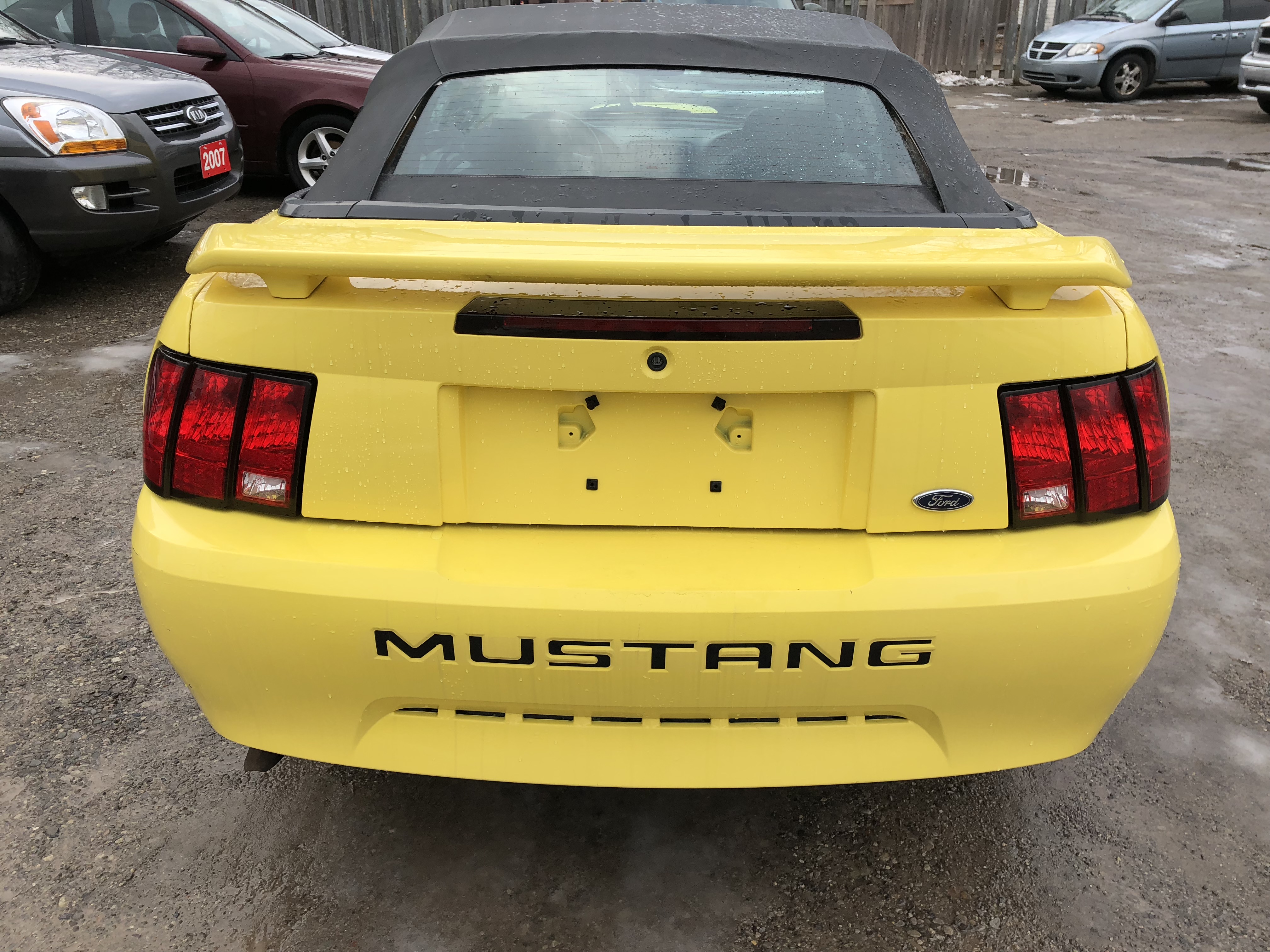 2003 FORD MUSTANG CONVERTIBLE - Premium Car Club