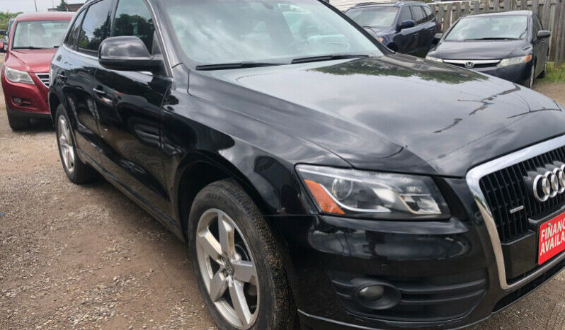 2010 Q5