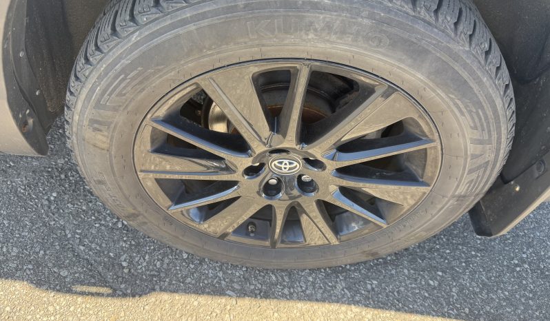 2019 Toyota Highlander XLE full